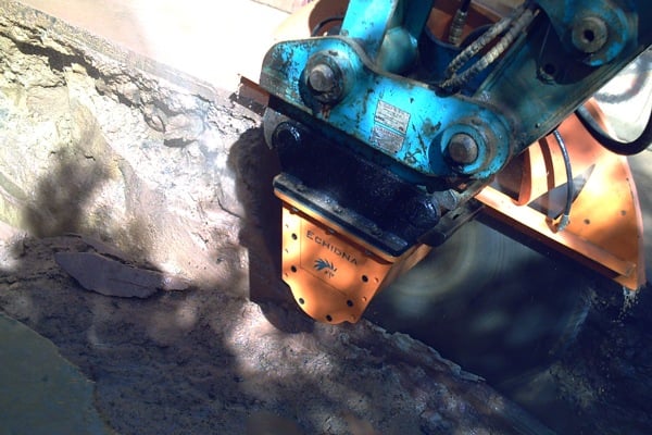 Echidna D2S cutting trenches.